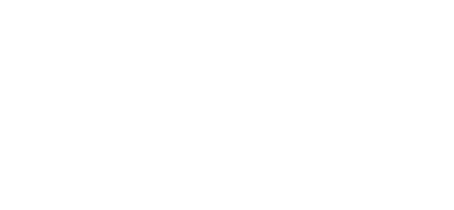 Duo Concept Logo